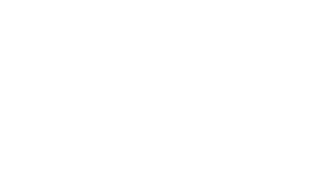Braun Sports